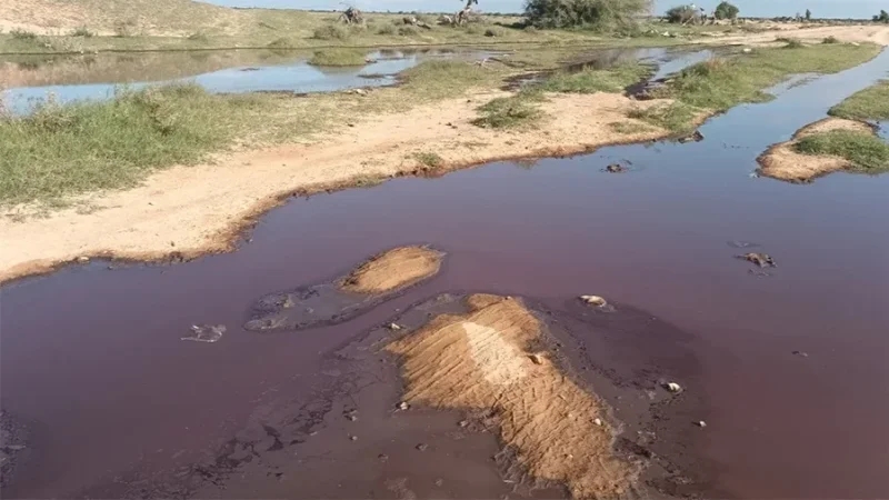 أيام توعوية و تحسيسية حول تثمين مادة المرجين في الأراضي الفلاحية
