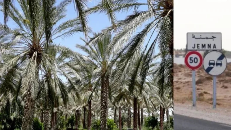 المحكمة الإبتدائية بقبلي ترفض مطلب إخلاء ضيعة واحات جمنة