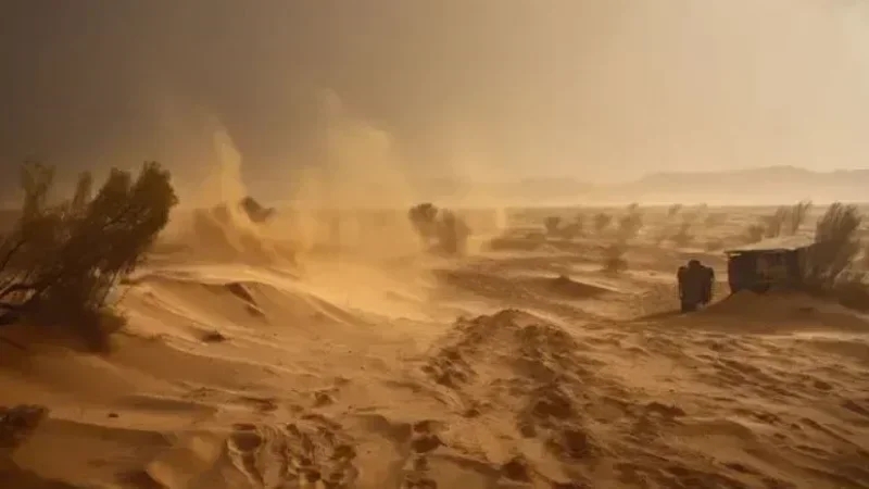 Kébili : Vents forts, demain... Vigilance recommandée