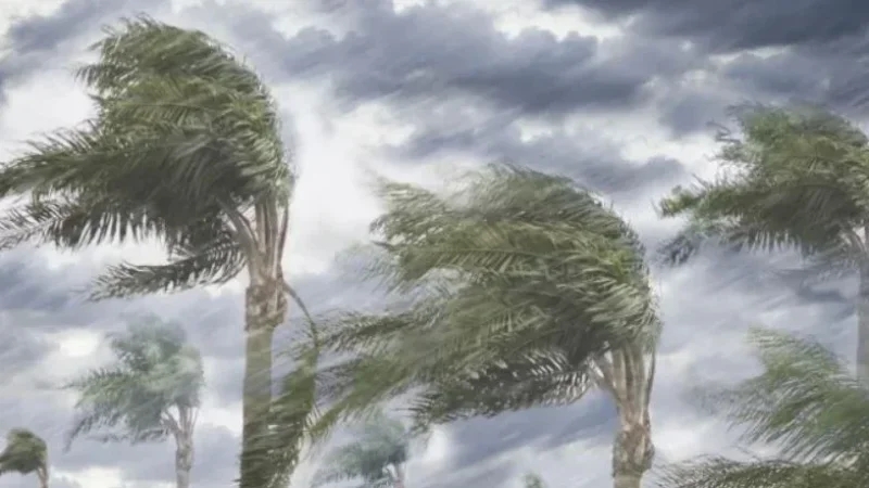 طقس السبت: أمطار.. حرارة في انخفاض ورياح تتجاوز سرعتها 120 كلم/س