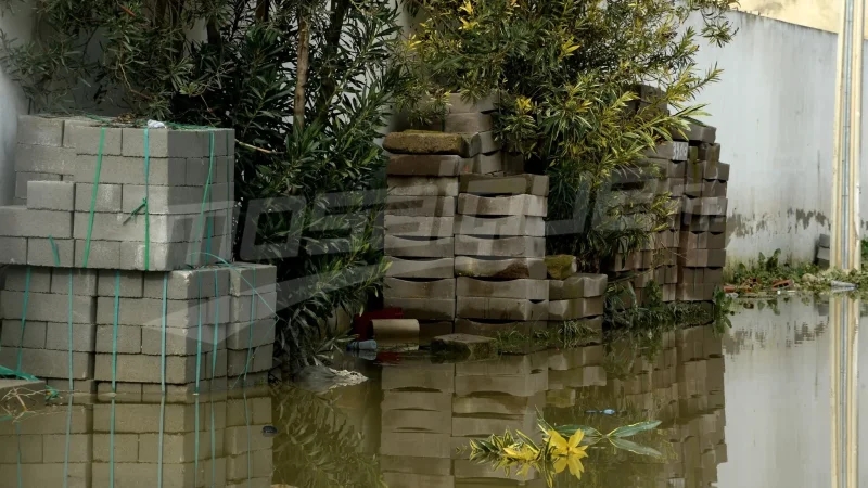 خبير اقتصادي: تغيّر المناخ يُؤثّر على الاقتصاد والفلاحة والسياحة