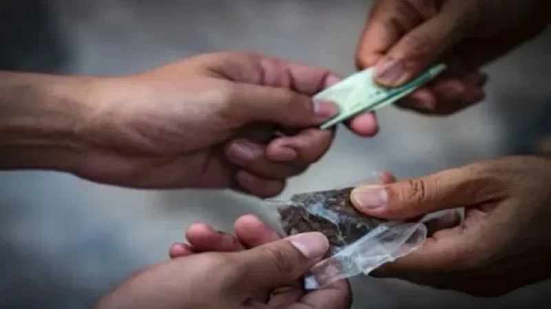 أريانة: تفكيك شبكة لترويج المخدرات.. وحجز زطلة وكوكايين