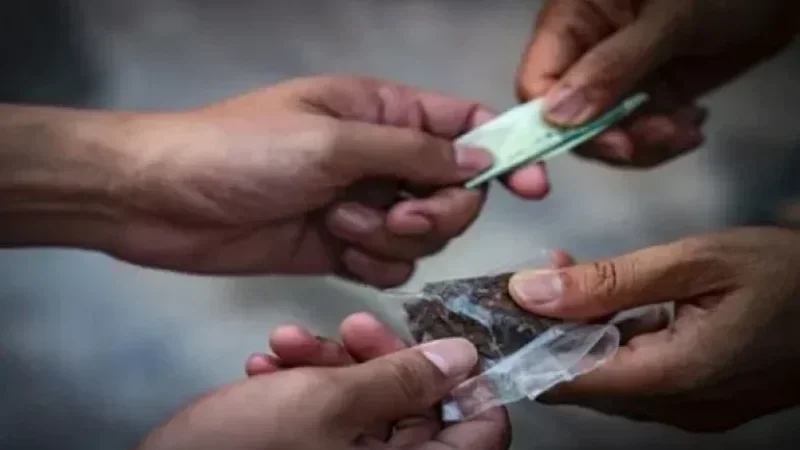 Ariana : démantèlement d’un réseau de trafic de drogue