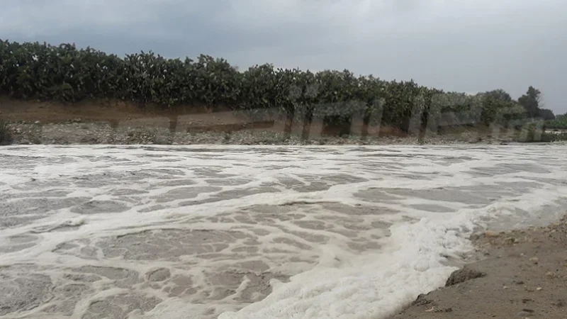 وزارة الفلاحة تدعو القاطنين بالقرب من وادي مجردة إلى الحذر