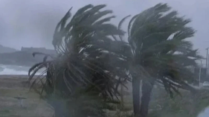 القصرين : أضرار فلاحية بعد هبوب رياح قوية بعدد من المناطق