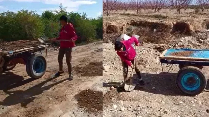 الروحية: طفل يتطوع لردم حفر الطريق..