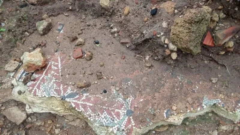 كشفتها الأمطار الأخيرة: لوحات فسيفسائية أثرية جديدة في بنزرت