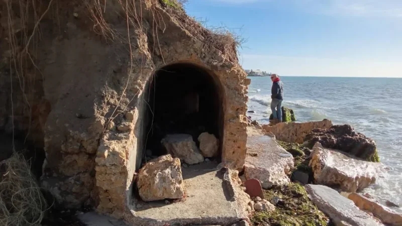 منير فنطر: آثارنا ليست معرضة للنهب.. وما يتم تداوله مبالغ فيه