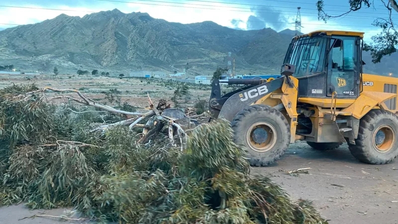 تحسبا لرياح قوية.. بلدية القصرين تتدخل لإزالة أشجار تهدد المارة