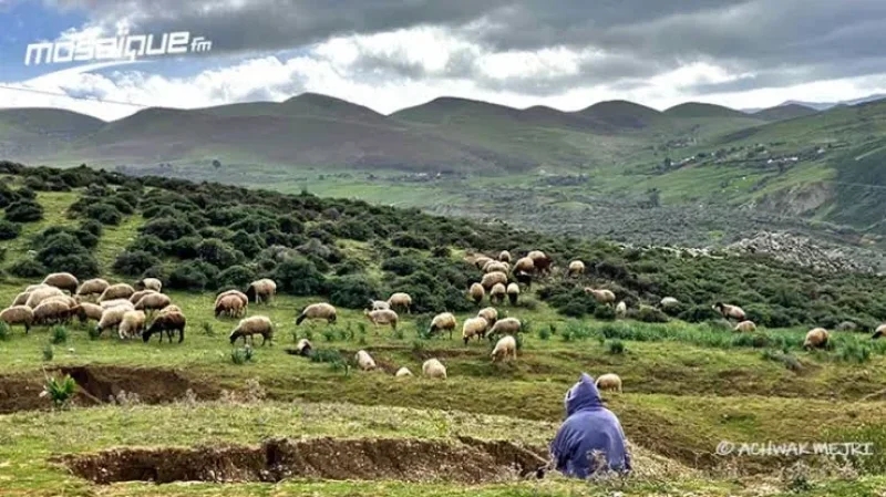 La météo du jeudi 5 février 2026