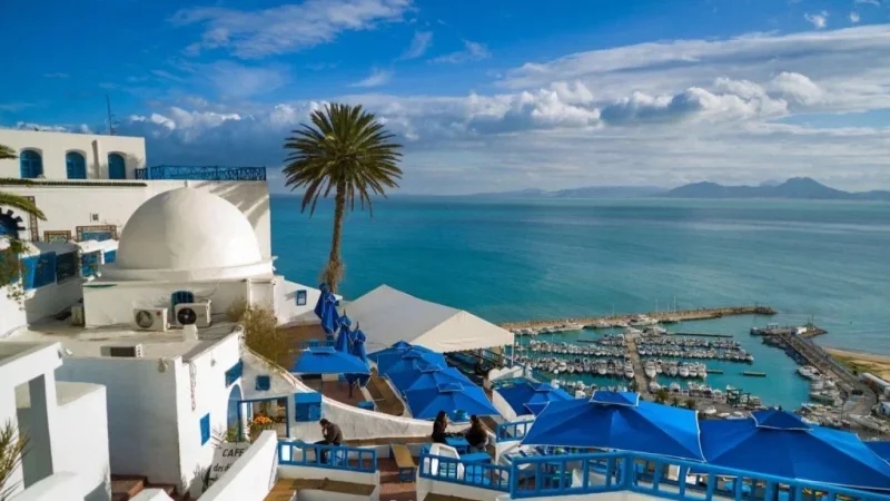 جويلية 2026.. موعد محتمل لتسجيل قرية سيدي بوسعيد على لائحة اليونسكو