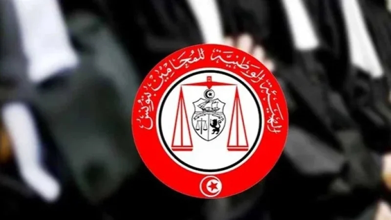 مجلس هيئة المحامين يقبل ترسيم 7 قضاة معفيين