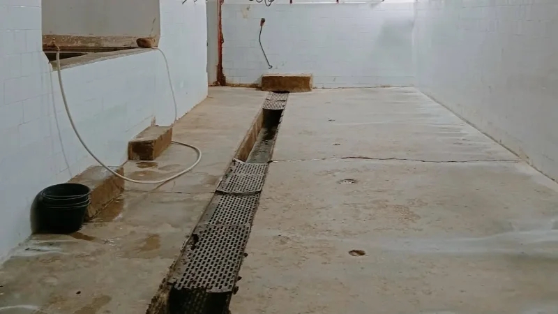 الرديف: استئناف العمل بالمسلخ البلدي