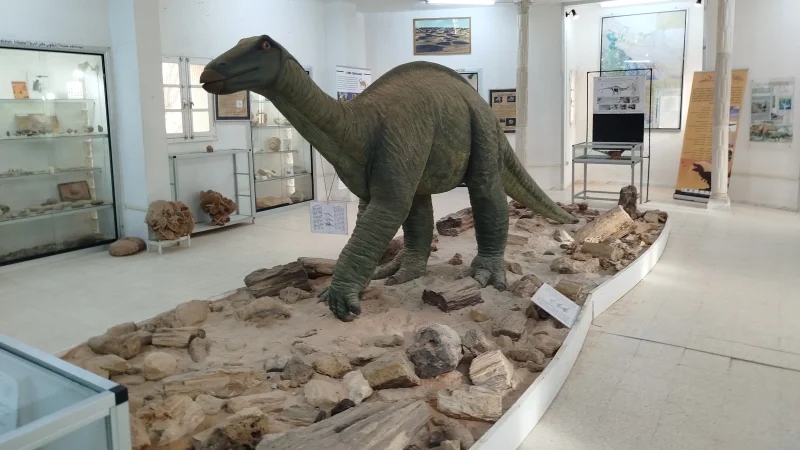 متحف ذاكرة الأرض.. النواة الأولى لـ'جيوبارك تونس' يستقبل 1000 زائر