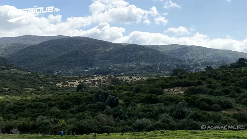 الأحد.. أمطار متفرّقة ببعض الجهات