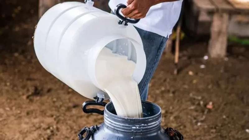 سوسة: حجز أكثر من 3 آلاف لتر من الحليب وغلق مصنع أجبان عشوائي