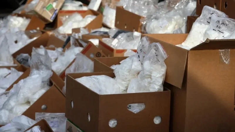 40 سنة سجنا وخطايا مالية لشبكة تهريب الكوكايين في طرود بريدية