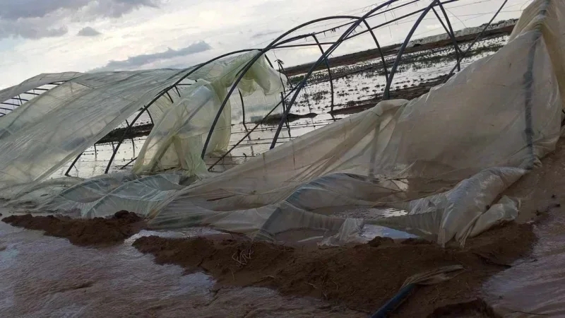 Vents forts: Pêcheurs, s'abstenir... Agriculteurs, prévenir