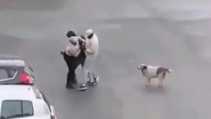 Braquage d’une femme à l’Ariana : Les quatre agresseurs arrêtés