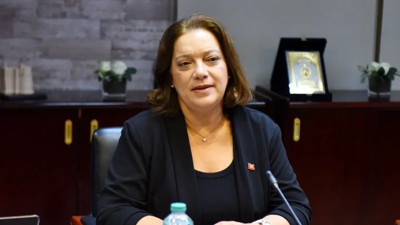 إنهاء مهام رئيسة الهيئة التونسية للاستثمار