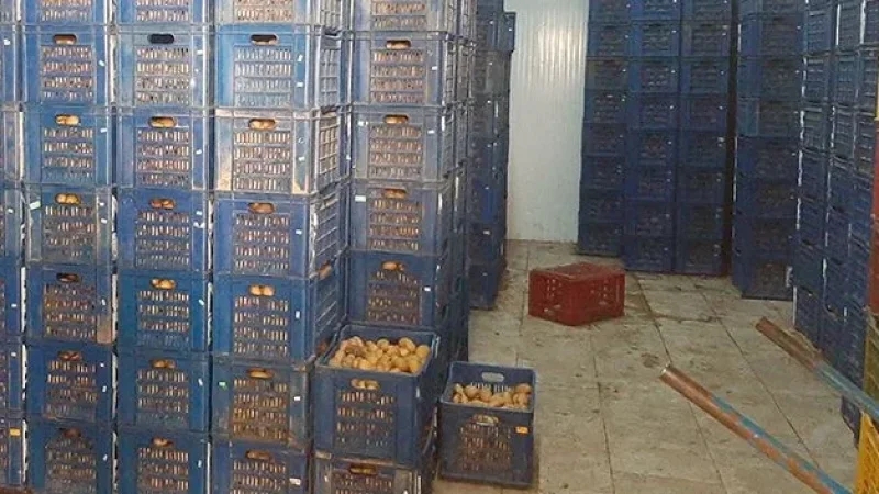 جندوبة: حجز كميات من الخضر محتكرة عشوائيا