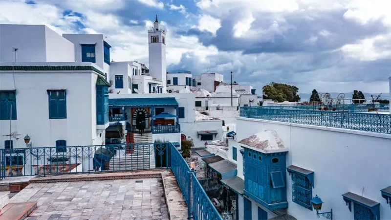 'توصية خاصة' لإدراج 'سيدي بوسعيد' على قائمة التراث العالمي