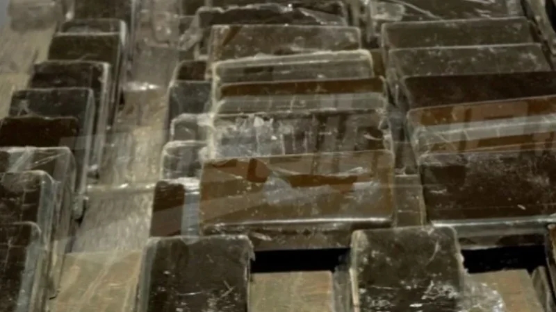 الشرطة العدلية بضفاف البحيرة تطيح بشبكة لترويج 'الزطلة