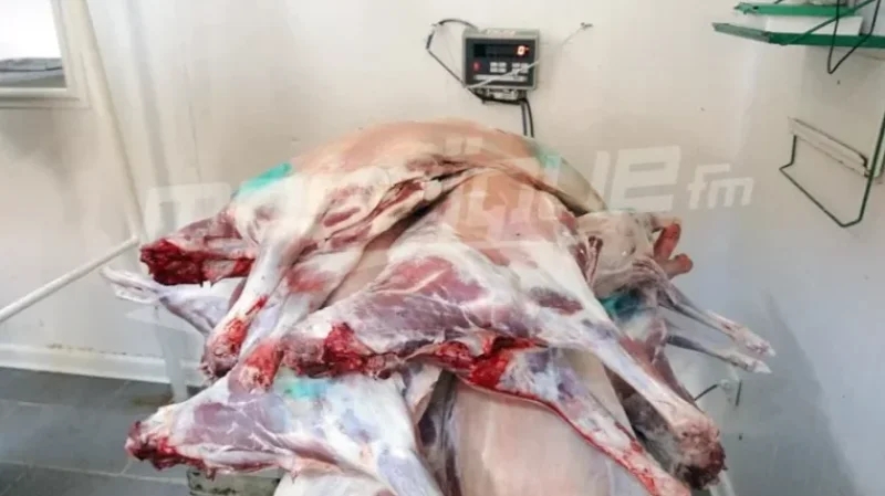 المدير الجهوي للتجارة بالقصرين: سعر كلغ العلوش لن يتجاوز 50 دينارا