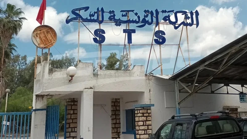 شركة السكر بباجة تستأنف نشاطها في الأيام القليلة القادمة