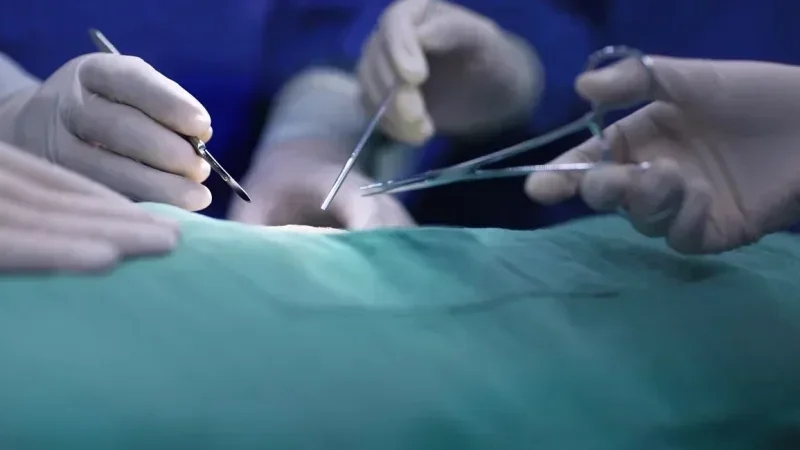 Greffes de moelle osseuse : Plus d’interventions, délais réduits