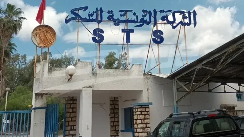 مدير بشركة السكر: إعادة الهيكلة ورفع الإنتاج إلى أكثر من ألف طن يوميًا