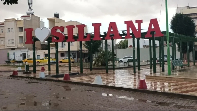 الفضاء الاقتصادي بسليانة: مشروع مشترك لتعزيز التنمية وبعث مواطن شغل