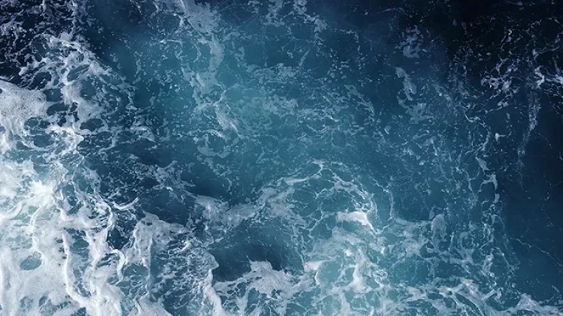 يربط تونس وإيطاليا وليبيا: نقاشات لإنشاء خط بحري منتظم لنقل الحاويات