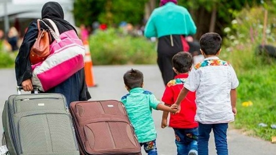 من بينها تونس... الجنسيّات العشر العربية الأكثر طلبا للجوء في أوروبا