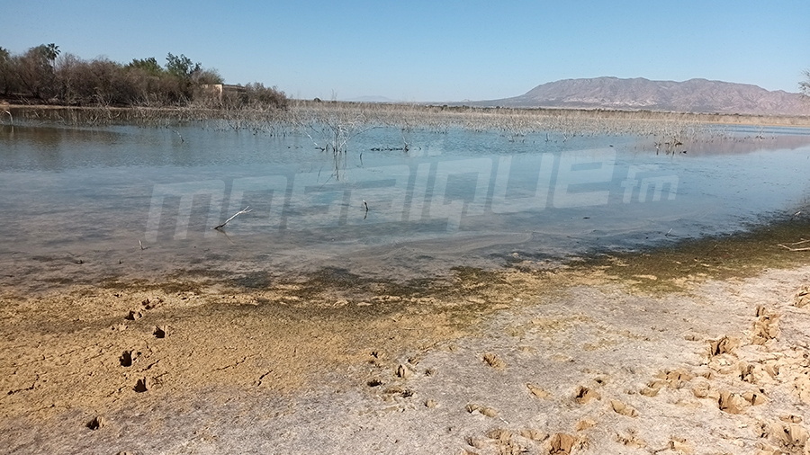 أمطار القيروان.. إيرادات ضعيفة بالسدود