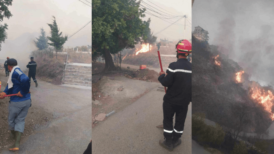 الجزائر: الحرائق تحاصر عشرات العائلات