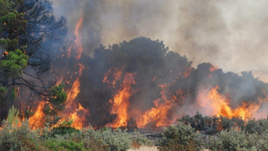 عين دراهم: الجهود متواصلة لإخماد حريق غابة العطاطفة 