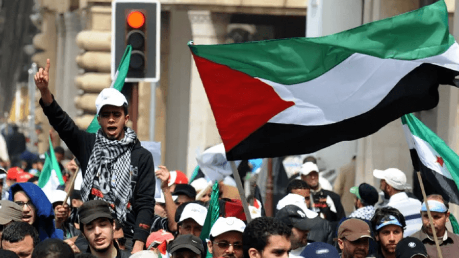 لماذا يجهل الشباب تاريخ القضية الفلسطينية !؟