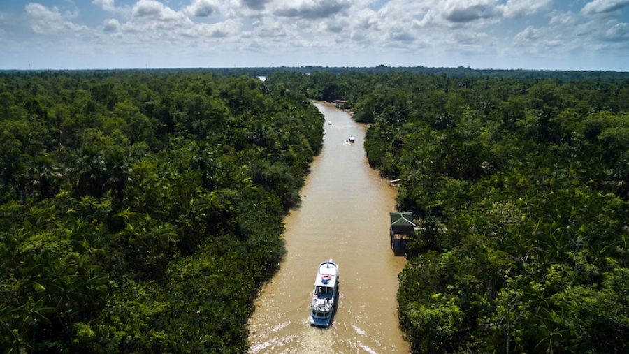 Climat: La COP30 en Amazonie