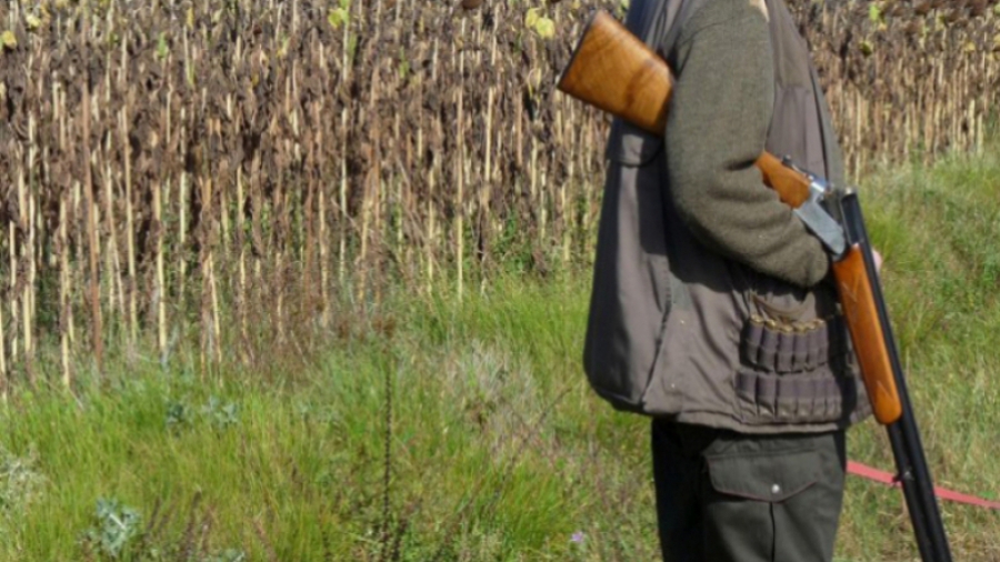 Pas de chasse interdite à l'Ariana et Bizerte, ce dimanche