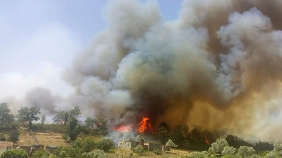 Incendies de Tabarka: Le démarrage du Festival de Chemtou reporté