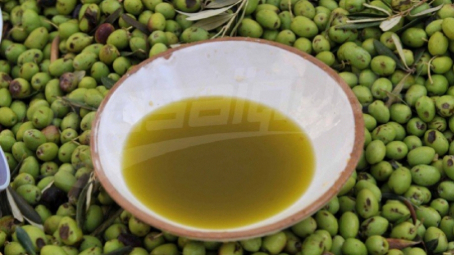 Agriculture: Les exportations de l’huile d’olive en hausse