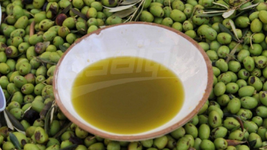 Hausse des exportations de l’huile d’olive de 36%