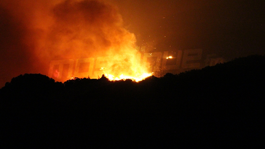 Kairouan: Un incendie  à la forêt de Barrouta