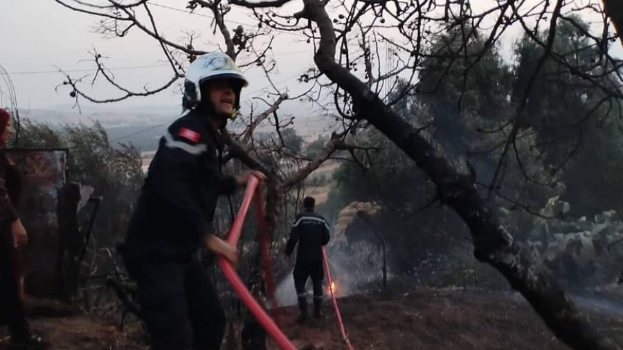 Aïn Draham: L’incendie du Mont Atatfa maîtrisé