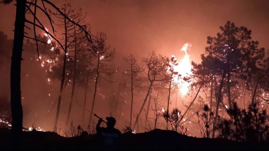 Krib: Incendie au Mont Dalel