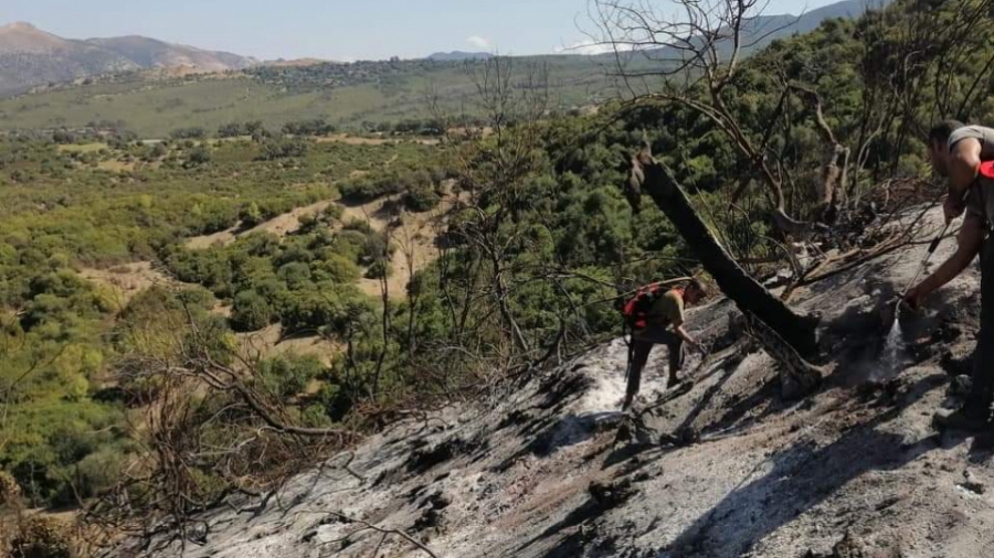 Aïn Dragam: L'incendie du mont Atatfa maîtrisé