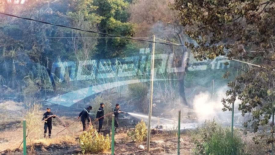 Incendies à Tabarka: Plus 150 personnes secourues