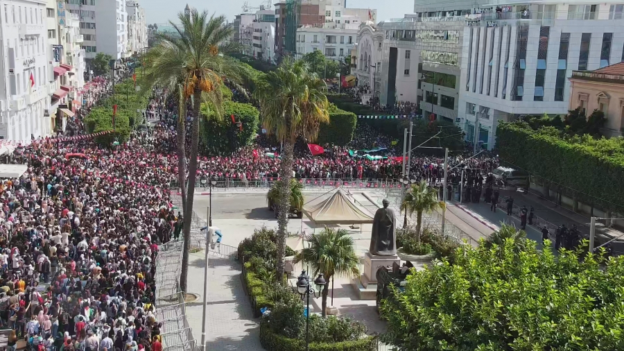 Tunis : 20 mille participants à la manifestation de soutien à Gaza