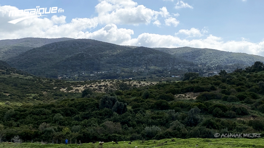 La météo du dimanche 9 juillet 2023